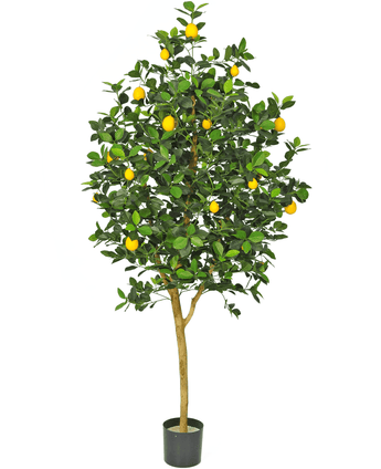 Limonero Artificial 150 cm