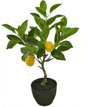 Limonero artificial 40 cm en maceta ornamental negro