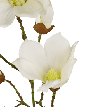 Magnolia Artificial Real Touch Blanco 72cm