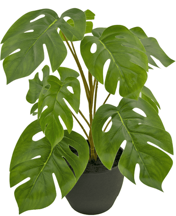 Monstera artificial 40 cm