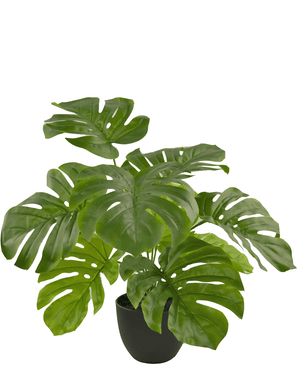 Monstera artificial 55 cm