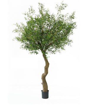 Olivo artificial 270 cm sin aceitunas