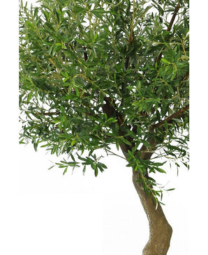 Olivo artificial 270 cm sin aceitunas