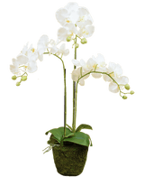 Orquídea artificial 118 cm blanca