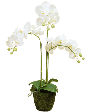 Orquídea artificial 118 cm blanca