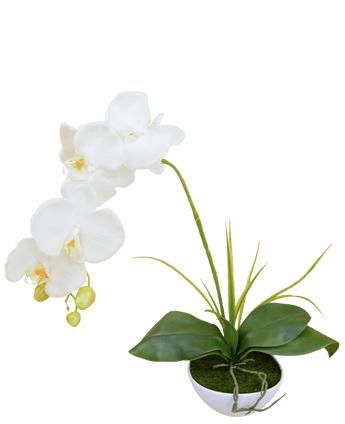 Orquídea artificial 50 cm blanca en maceta decorativa blanca