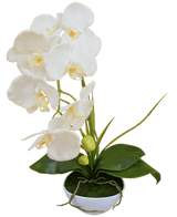 Orquídea artificial 50 cm blanca en maceta decorativa blanca