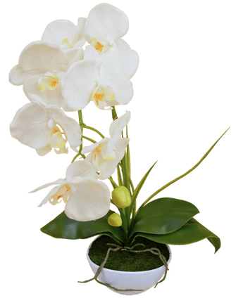 Orquídea artificial 50 cm blanca en maceta decorativa blanca