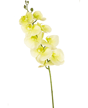 Orquídea artificial Real Touch Deluxe 105 cm blanco/amarillo