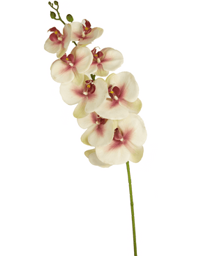 Orquídea artificial Real Touch Deluxe 105 cm rosa/blanco