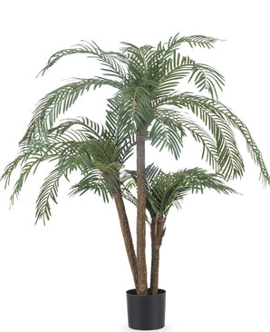 Palmera Cica Classic 135 cm