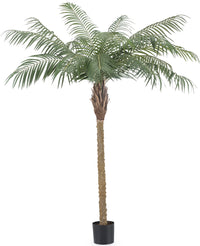 Palmera Datilera artificial Deluxe 180 cm