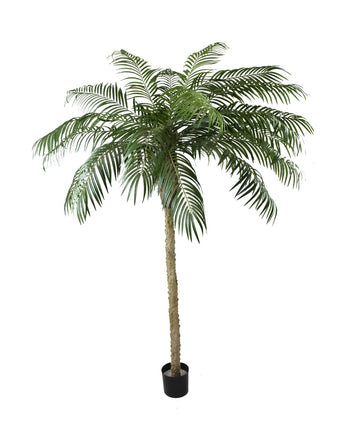 Palmera Datilera artificial Deluxe 250 cm