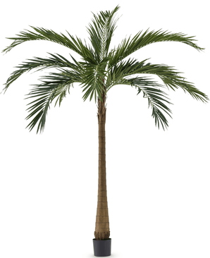 Palmera XL Deluxe 270 cm