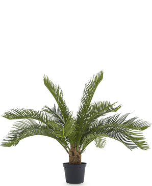 Palmera artificial Baby Cycus 45 cm