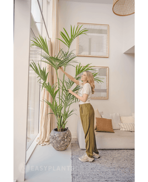 Palmera artificial Kentia 220 cm