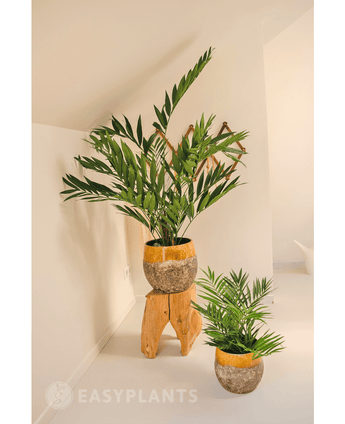 Palmera artificial Parlour 60 cm