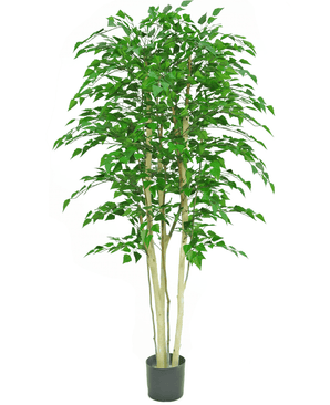 Planta artificial Abedul rugoso 210 cm