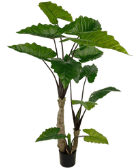 Planta artificial Alocasia 180 cm