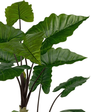 Planta artificial Alocasia 180 cm