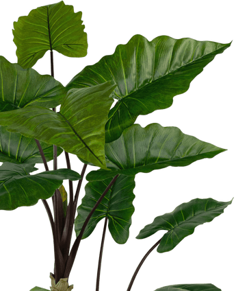 Planta artificial Alocasia 180 cm