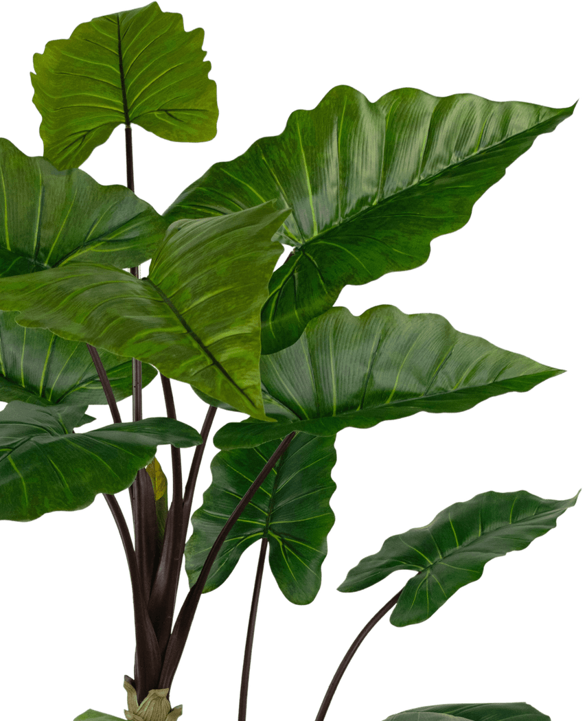 Planta artificial Alocasia 180 cm