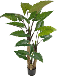 Planta artificial Alocasia 210 cm