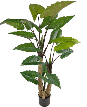 Planta artificial Alocasia 210 cm