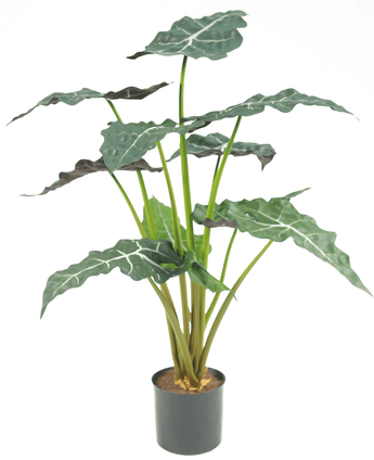 Planta artificial Alocasia 67 cm