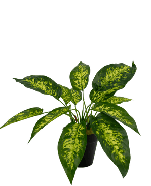 Planta artificial Anthurium 25 cm