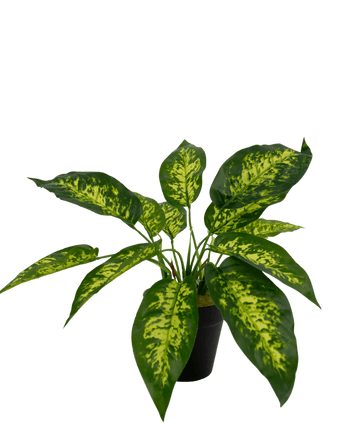 Planta artificial Anthurium 25 cm