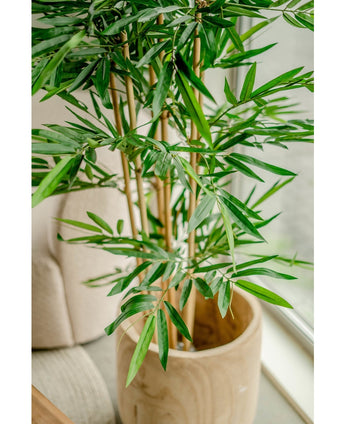 Planta artificial Bambú 150 cm