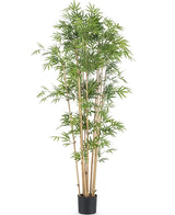 Planta artificial Bambú japonés 170 cm