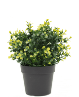 Planta artificial Boj amarillo 19 cm UV