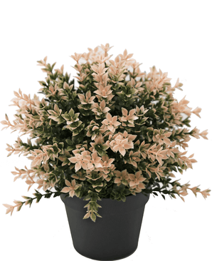 Planta artificial Boj rosa 22 cm UV