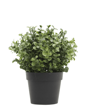 Planta artificial Boj verde 19 cm UV