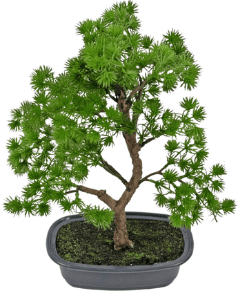Planta artificial Bonsai Juniper 30 cm