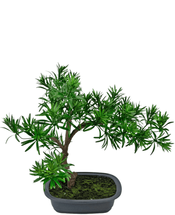 Planta artificial Bonsái Podocarpus 40 cm