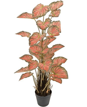 Planta artificial Caladium 90 cm rosa