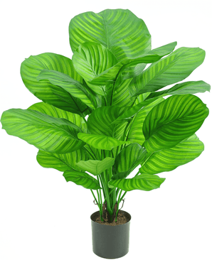 Planta artificial Calathea 72 cm