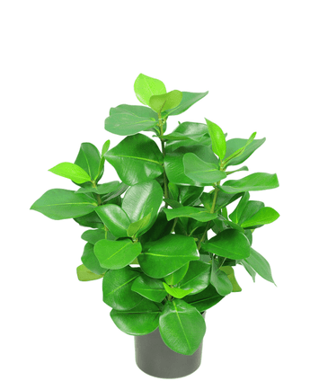 Planta artificial Clusia 45 cm