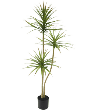 Planta artificial Dracaena Fragnans 150 cm