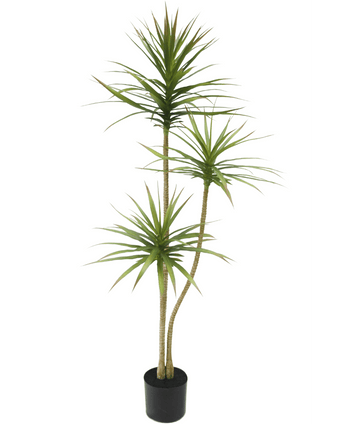 Planta artificial Dracaena Fragnans 150 cm