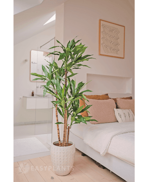 Planta artificial Dracena Fragnans 150 cm