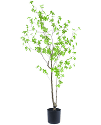 Planta artificial Enkianthus 150 cm