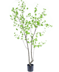 Planta artificial Enkianthus 210 cm