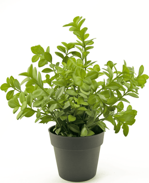 Planta artificial Eucalipto 27 cm