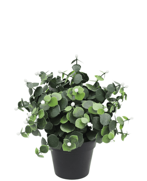 Planta artificial Eucalipto blanco 22 cm UV