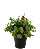 Planta artificial Eucalipto rojo 22 cm UV