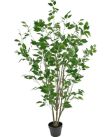 Planta artificial Ficus 150 cm